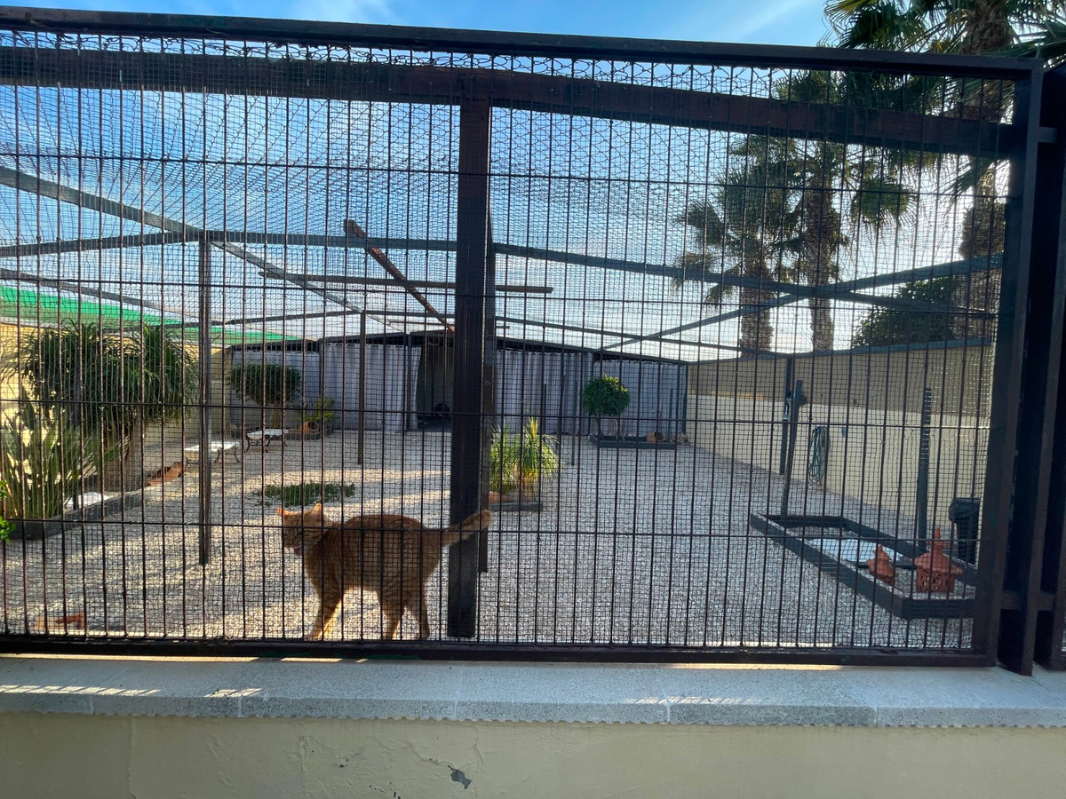 Property main view 9