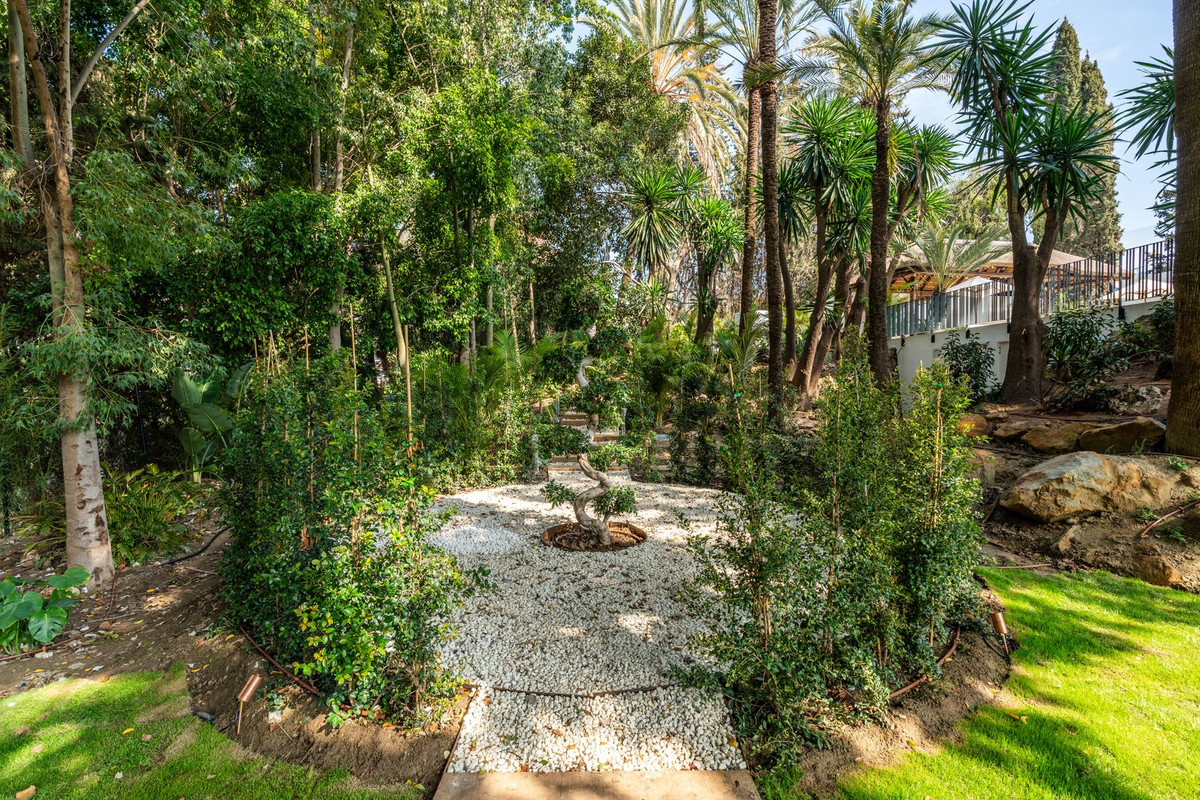 Property main view 66