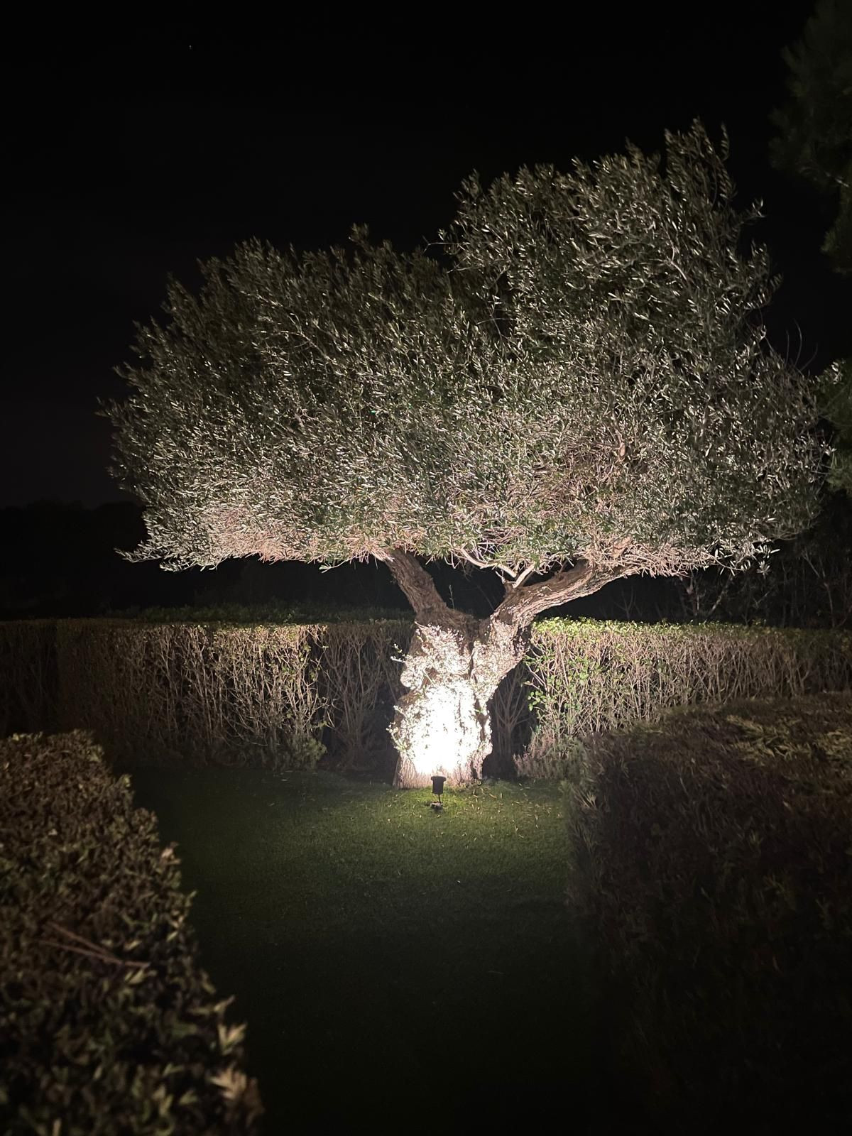 Huis te koop in Las Colinas Golf | 3 slaapkamers H5258944