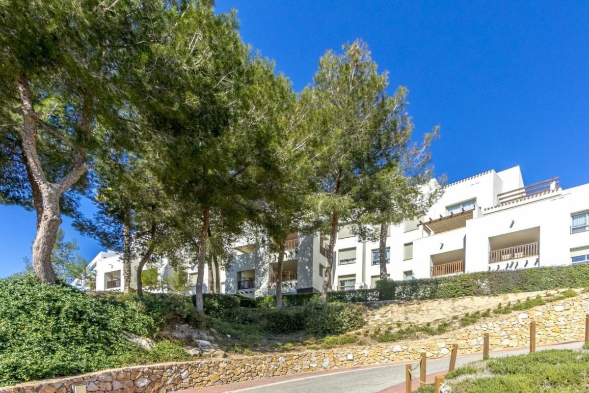 Property main view 30