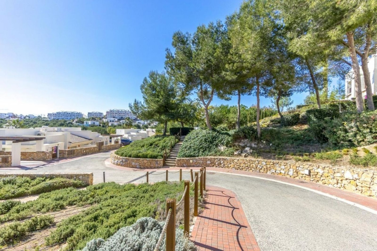 Property main view 32
