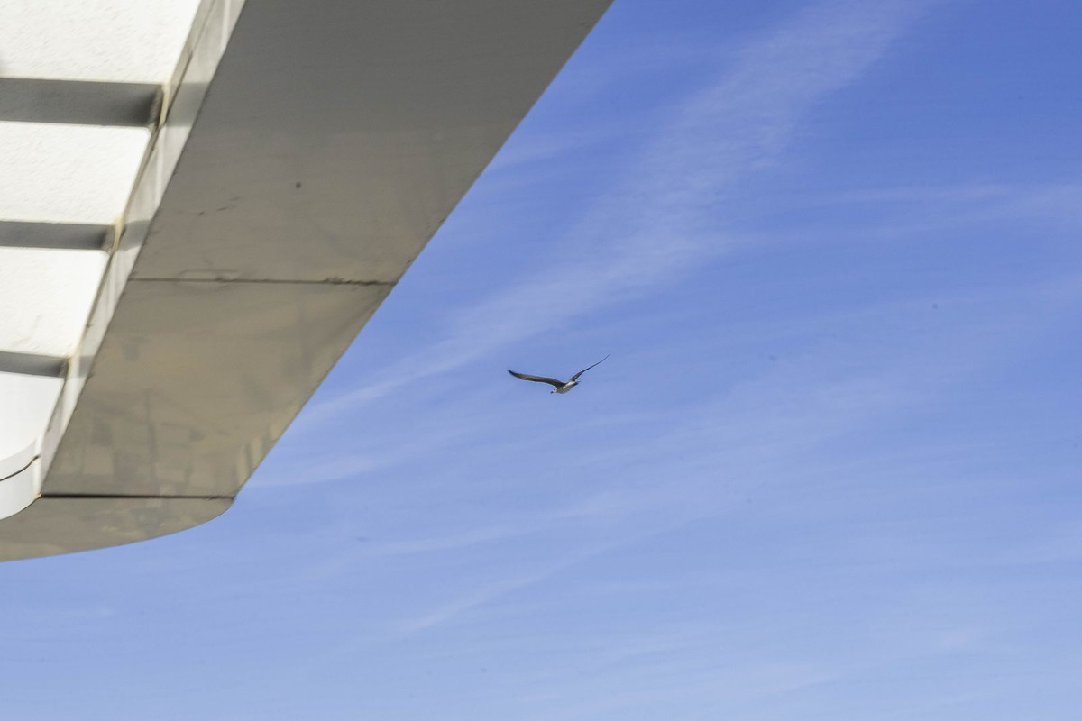 Penthouse te koop in Los Alamos | 4 slaapkamers H5184250