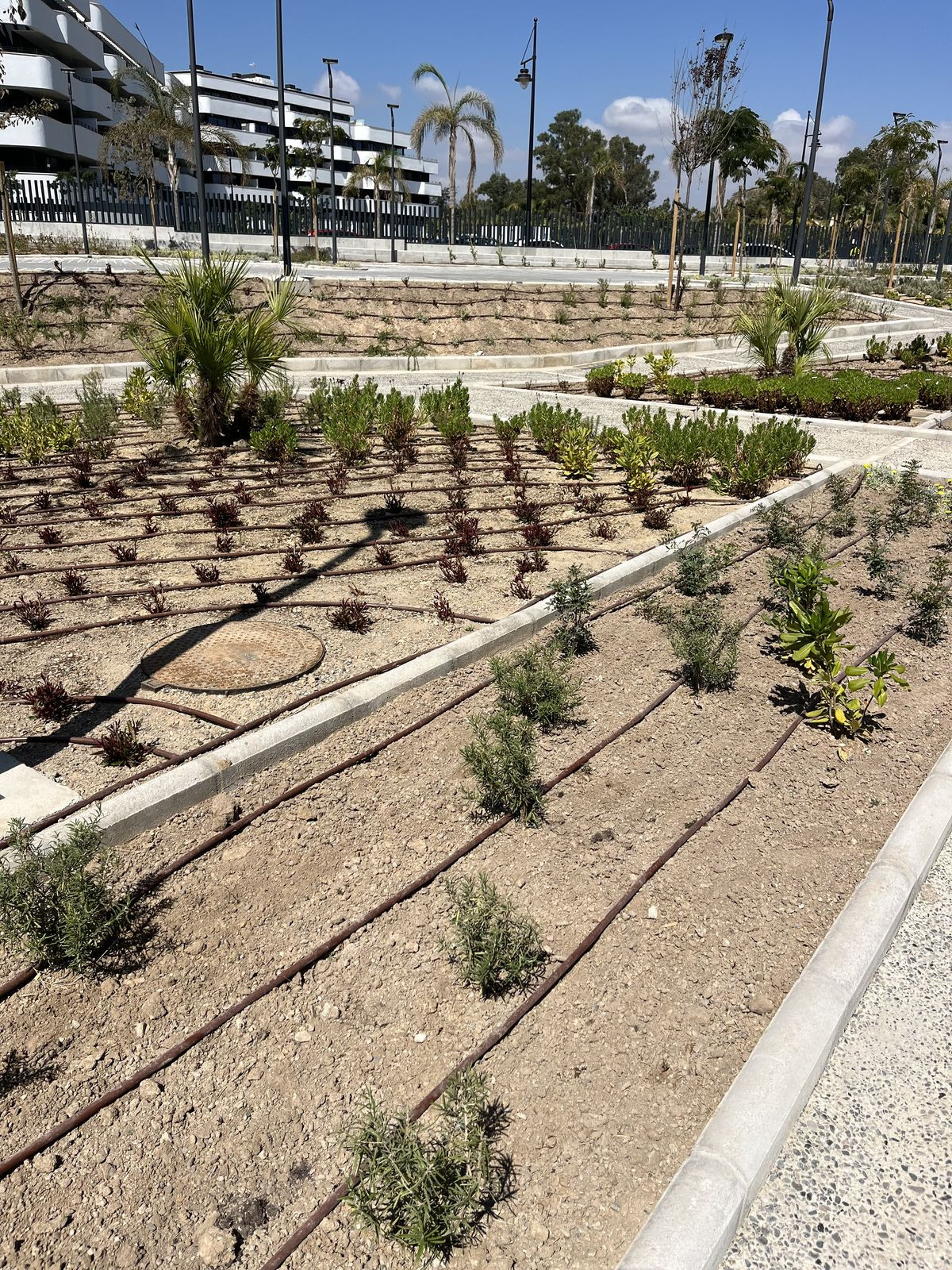 Penthouse te koop in Los Alamos | 3 slaapkamers H5207875