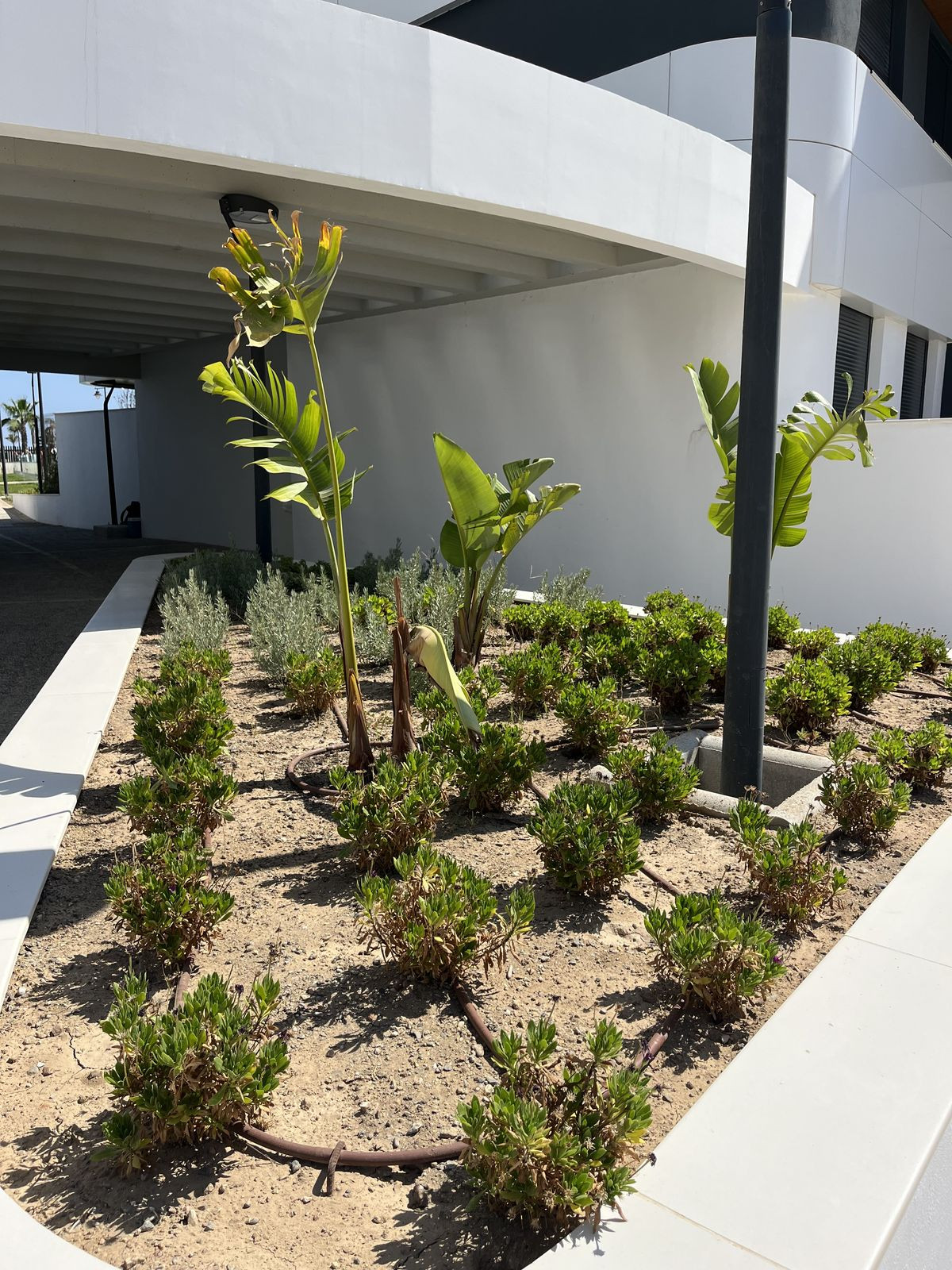 Penthouse te koop in Los Alamos | 3 slaapkamers H5207875