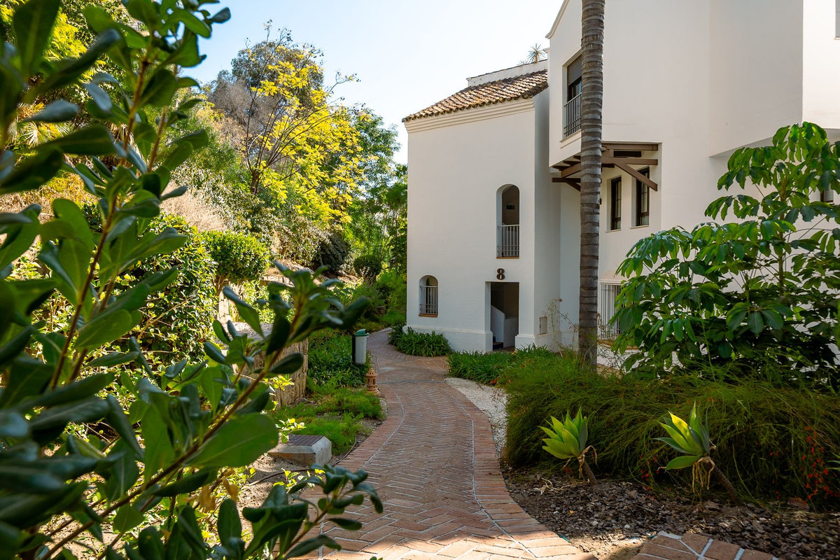 Property main view 41