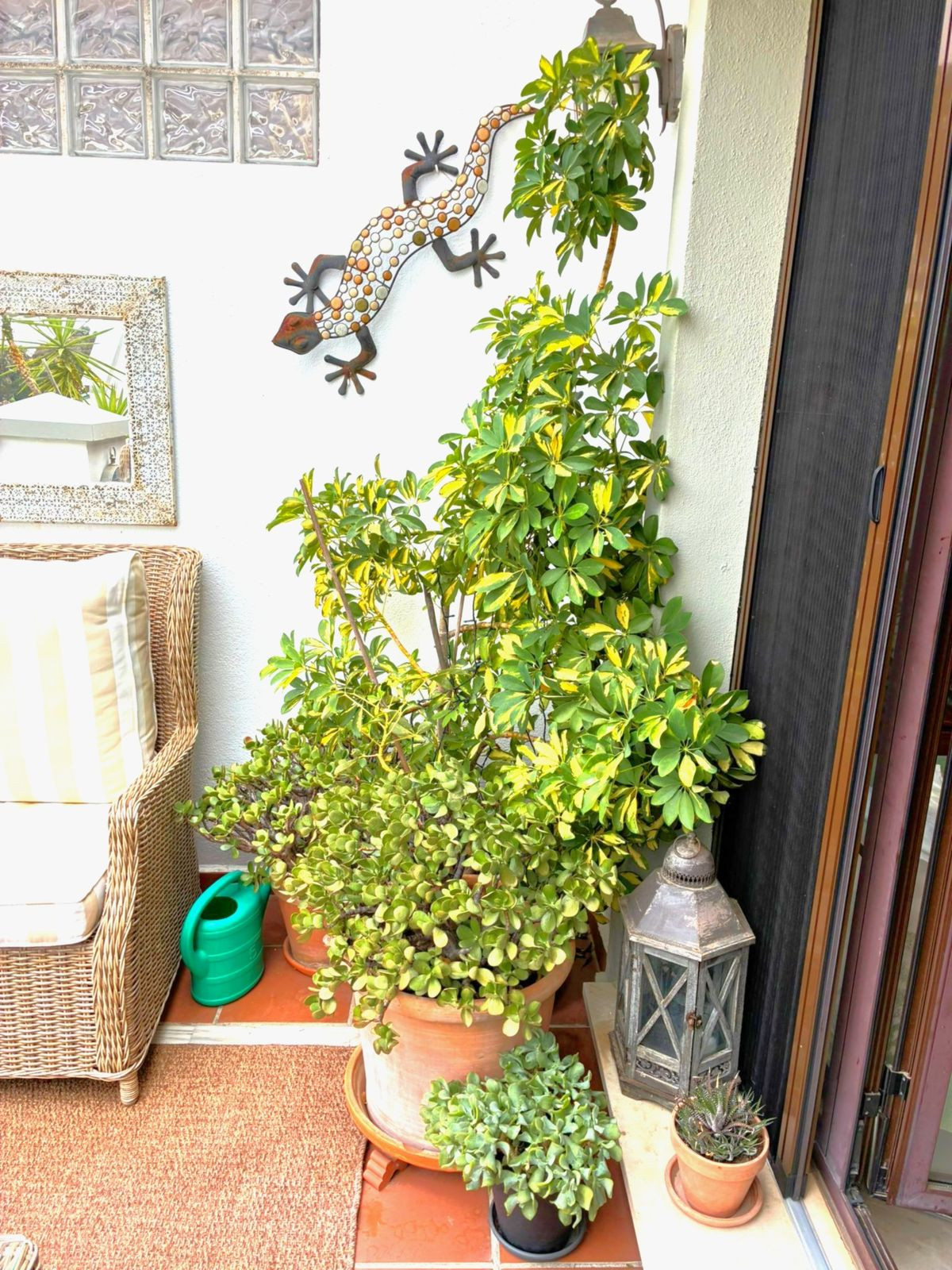 Penthouse te koop in Los Arqueros | 3 slaapkamers H5207851