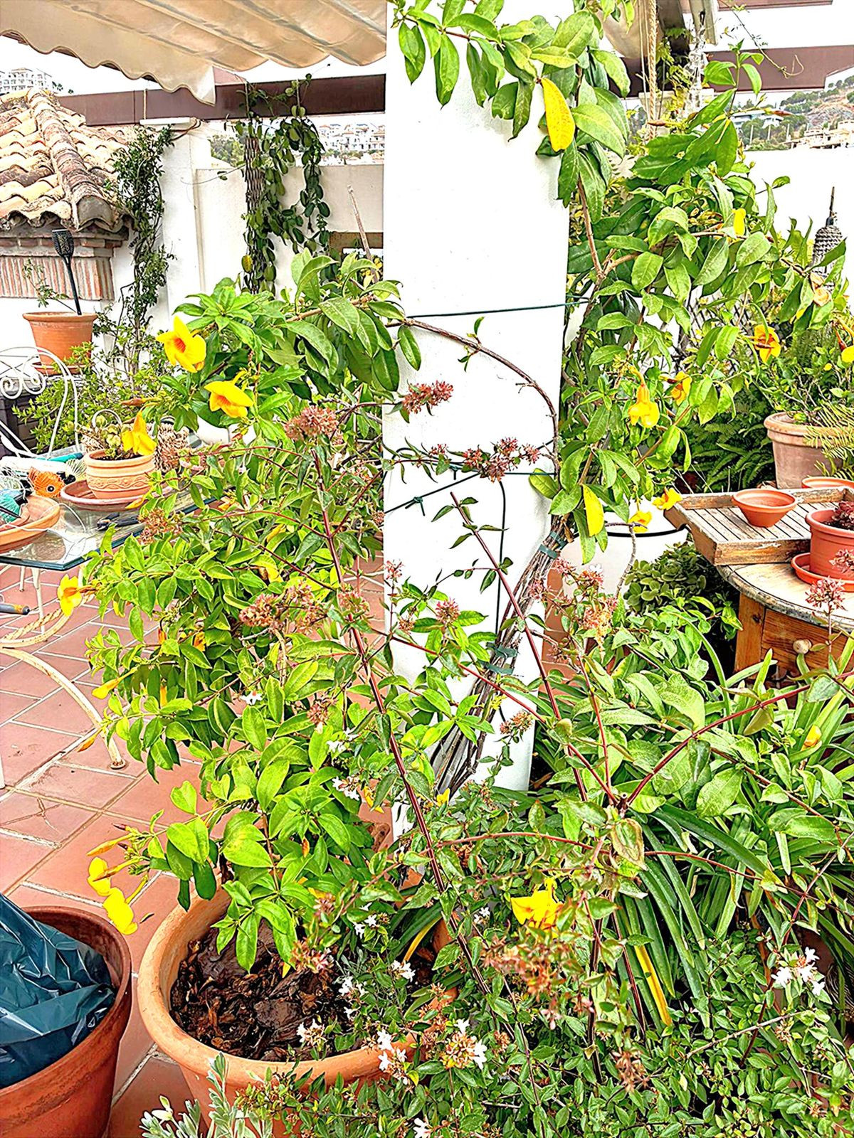 Penthouse te koop in Los Arqueros | 3 slaapkamers H5207851