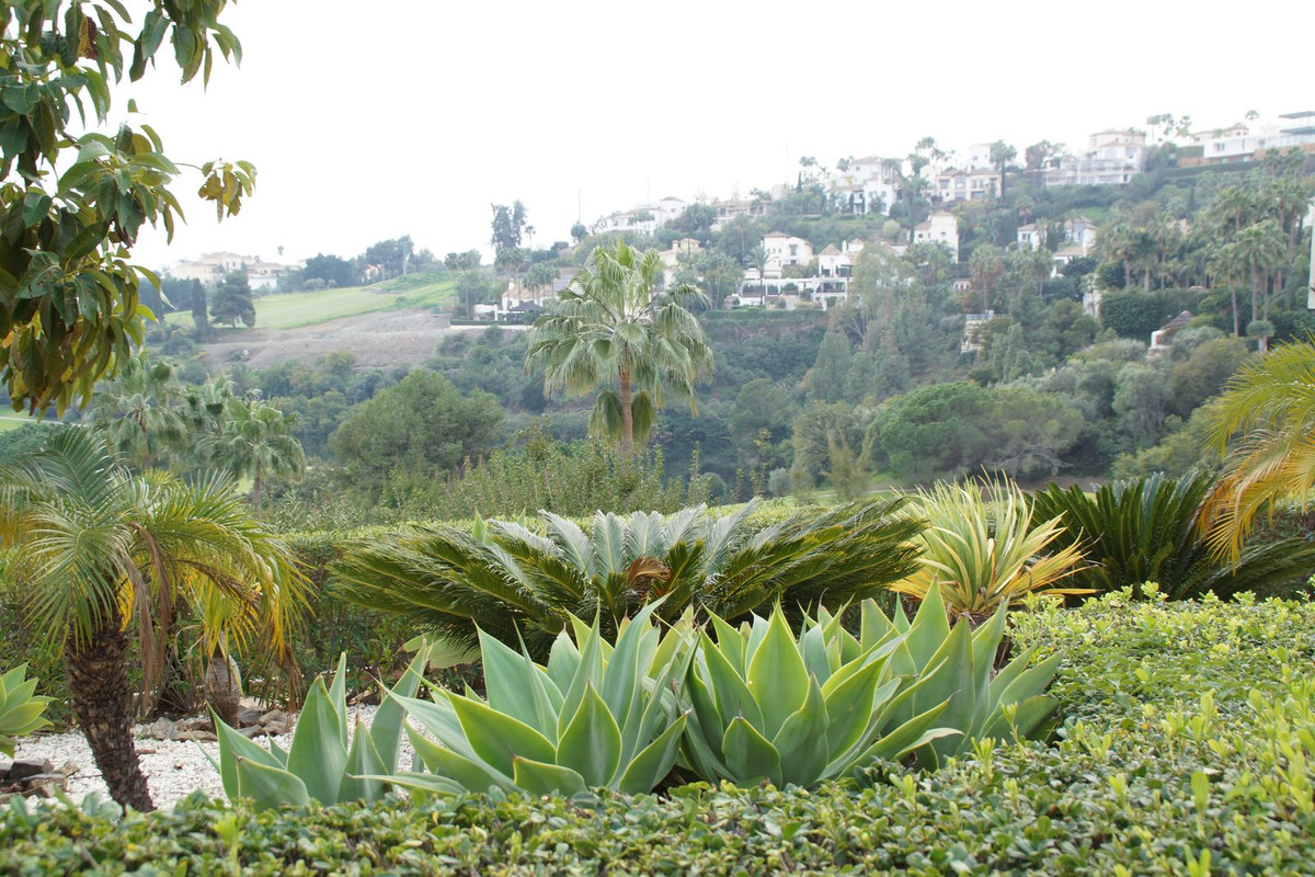 Property main view 21