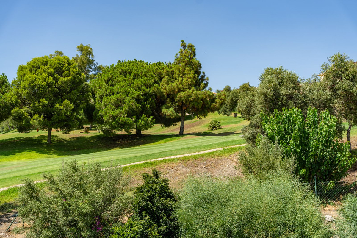 Property main view 40