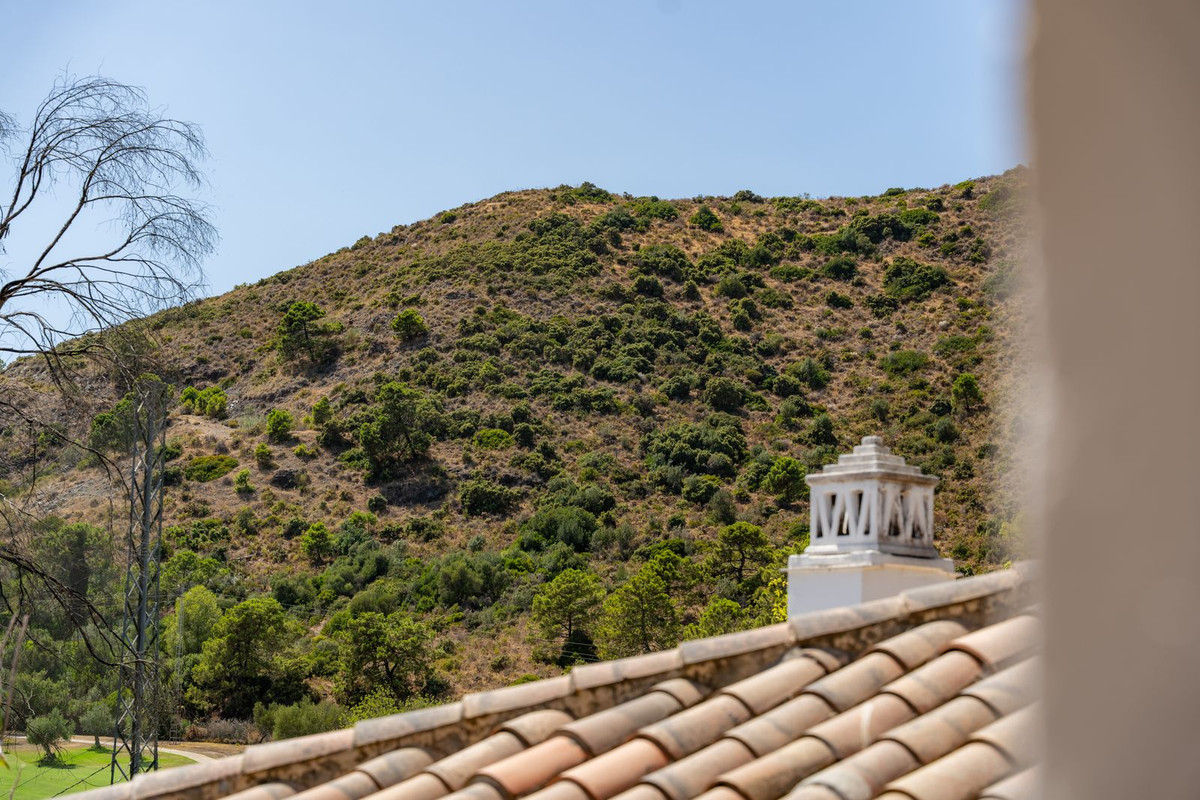 Property main view 41