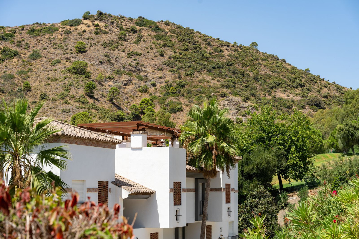 Property main view 45