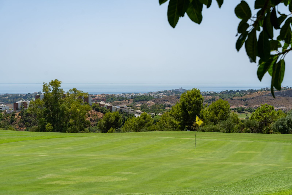 Property main view 53