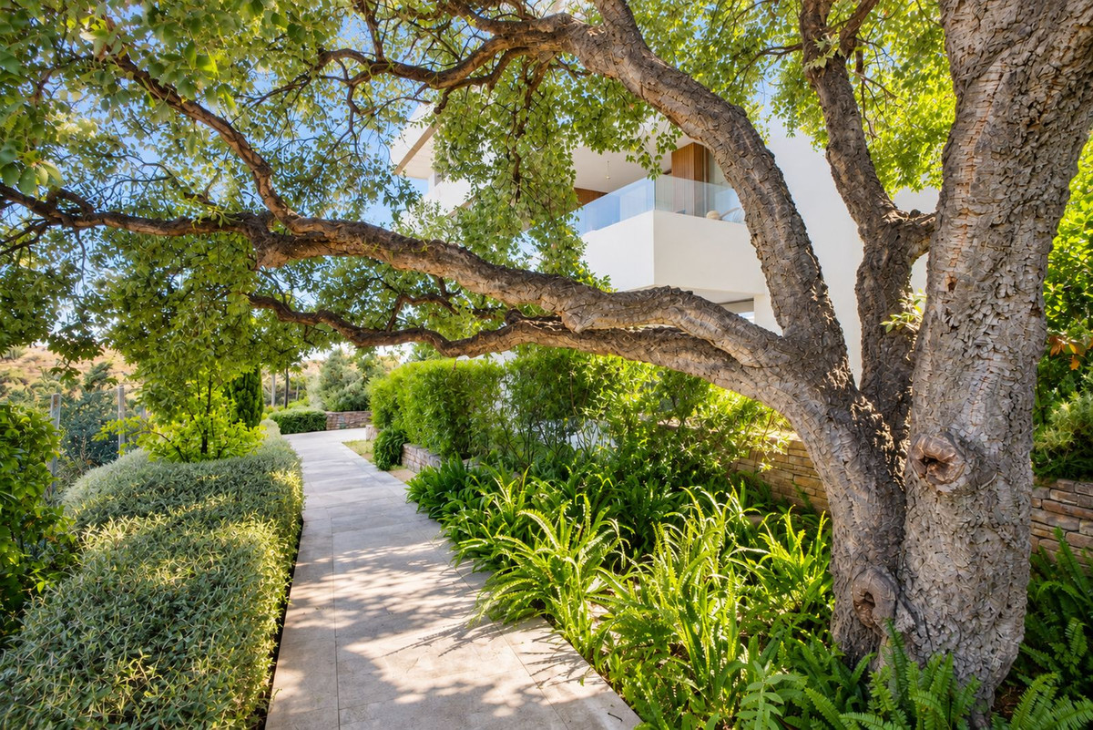 Property main view 13