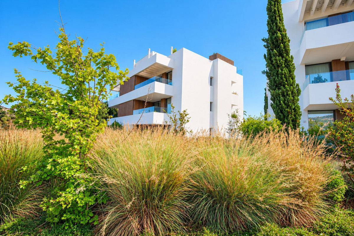 Property main view 29