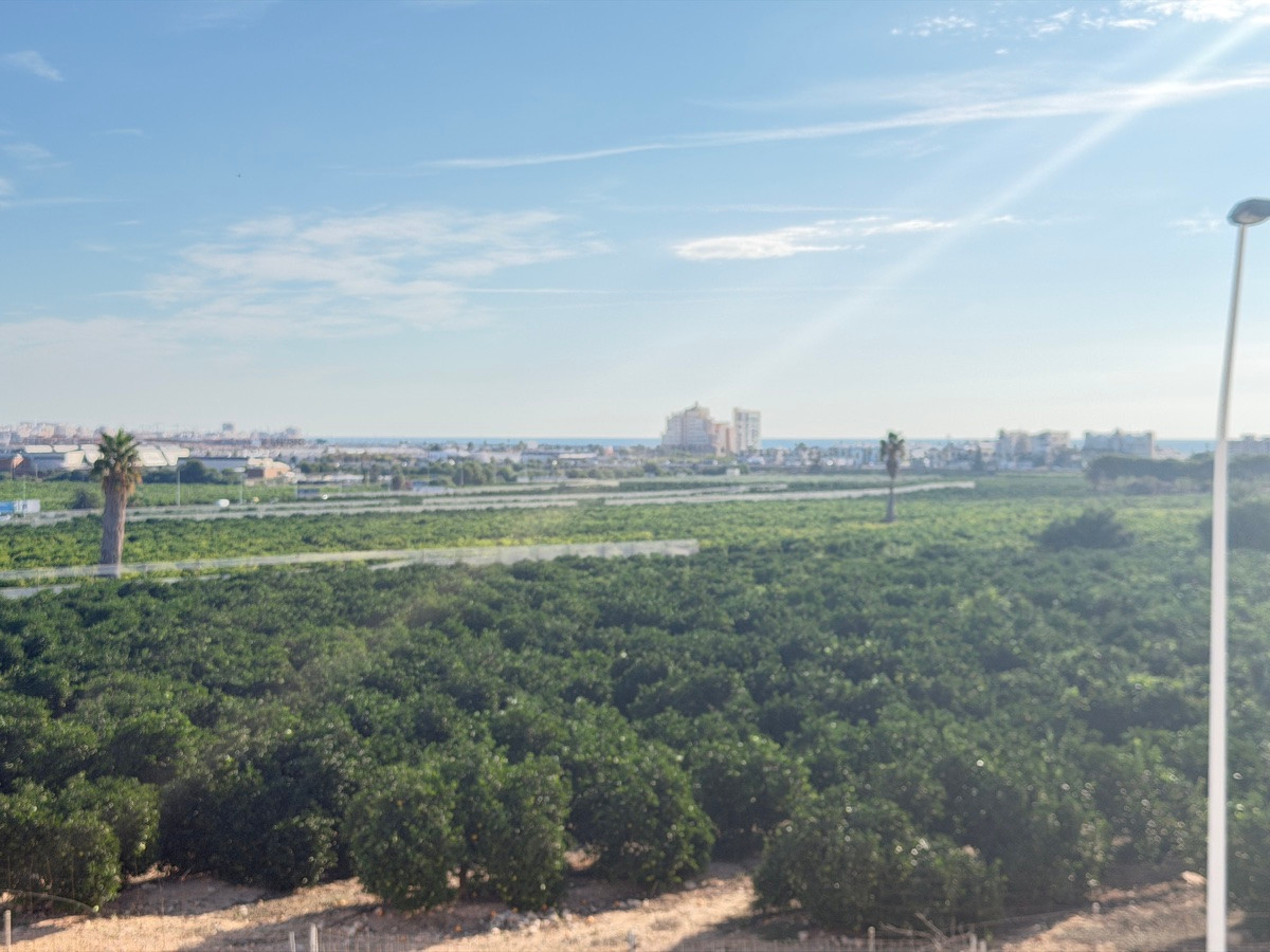 Property main view 19