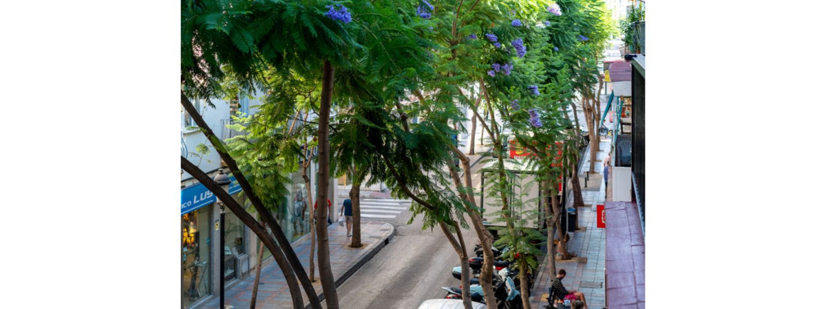 Appartement te koop in Los Boliches | 3 slaapkamers H5315038