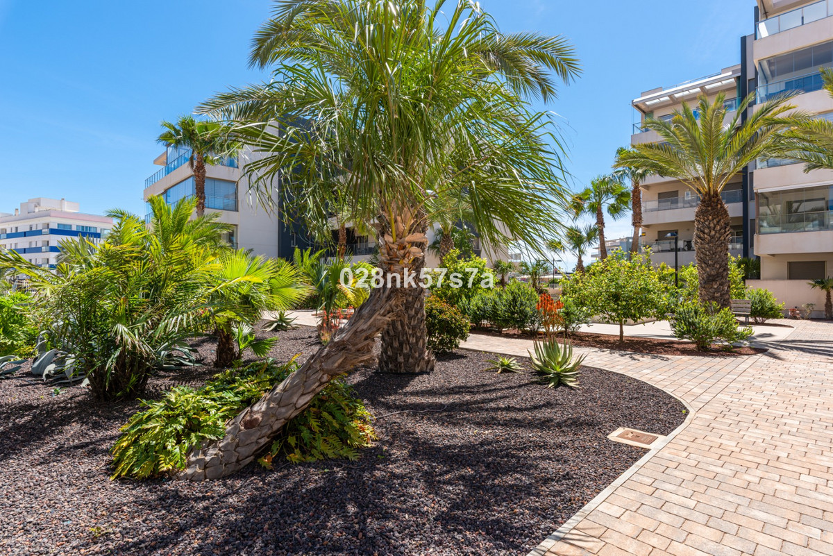 Property main view 41
