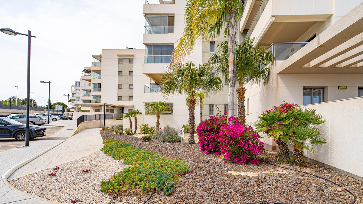 Property main view 42