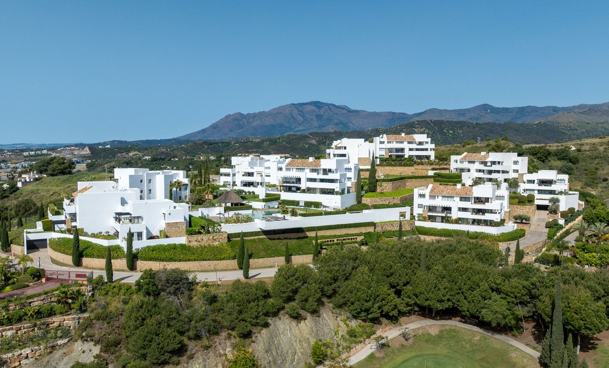 Penthouse in Los Flamingos-25