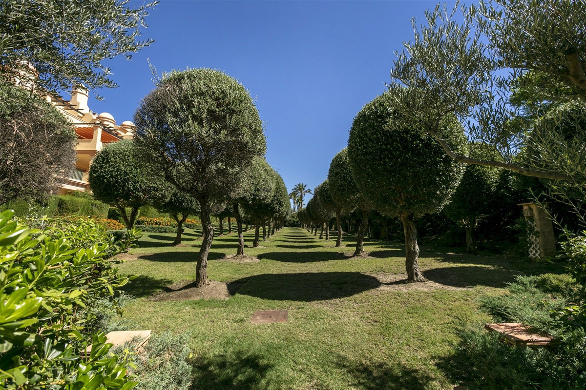 Property main view 24