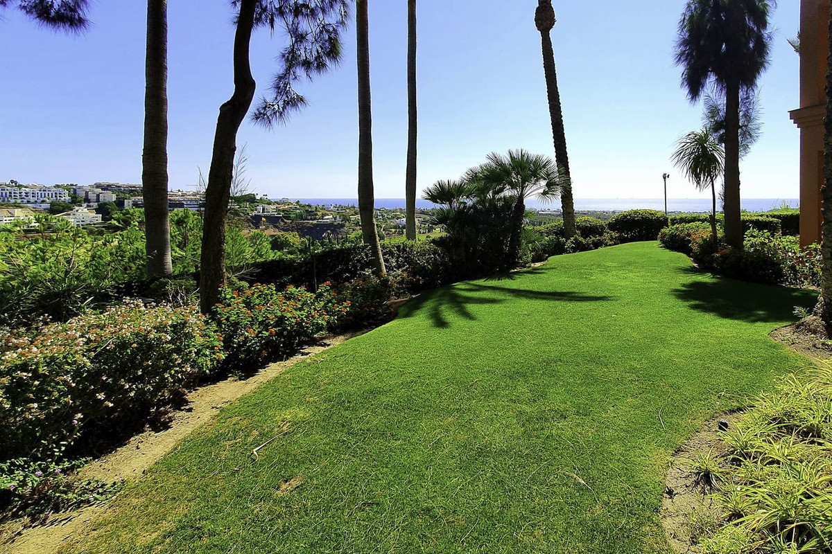 Property main view 22