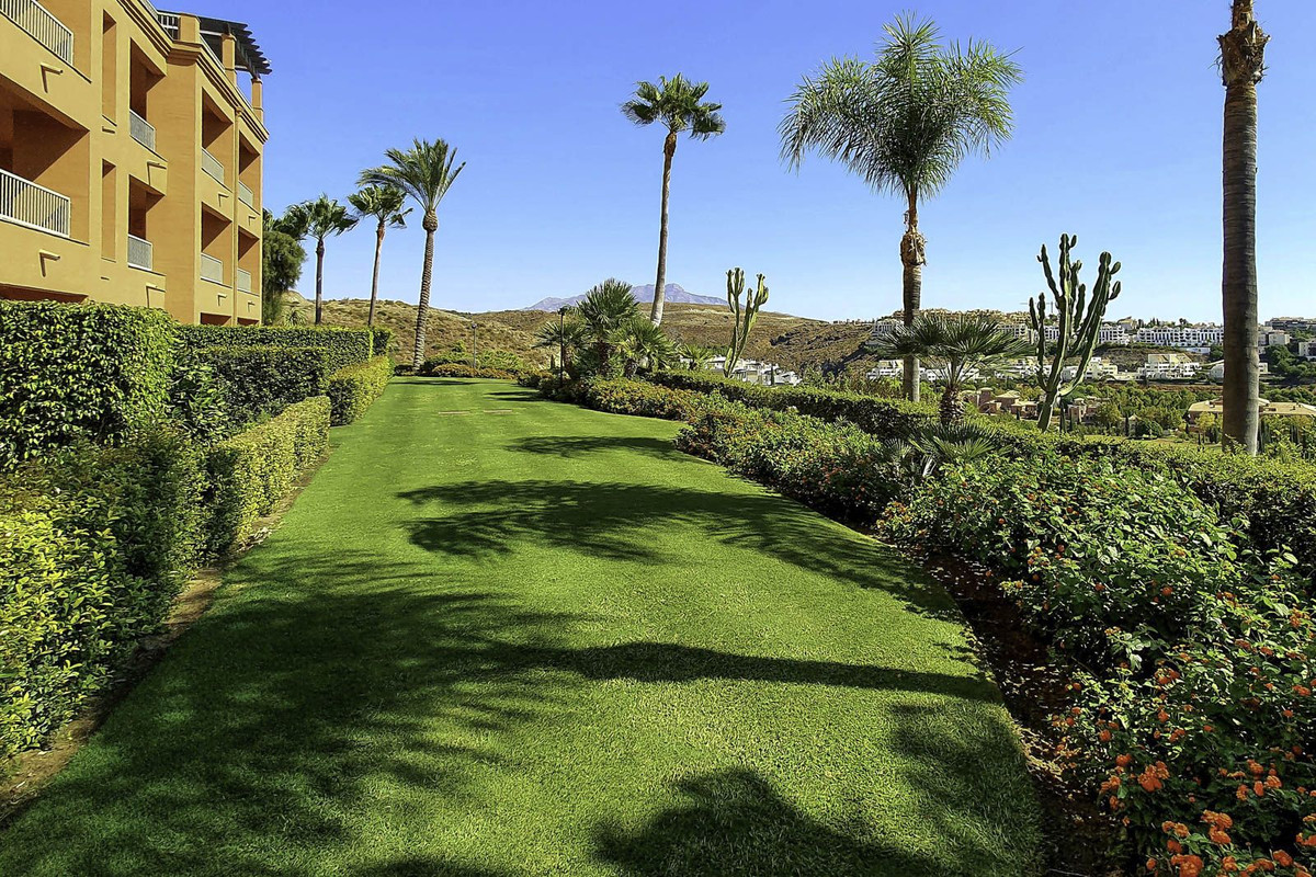 Property main view 24