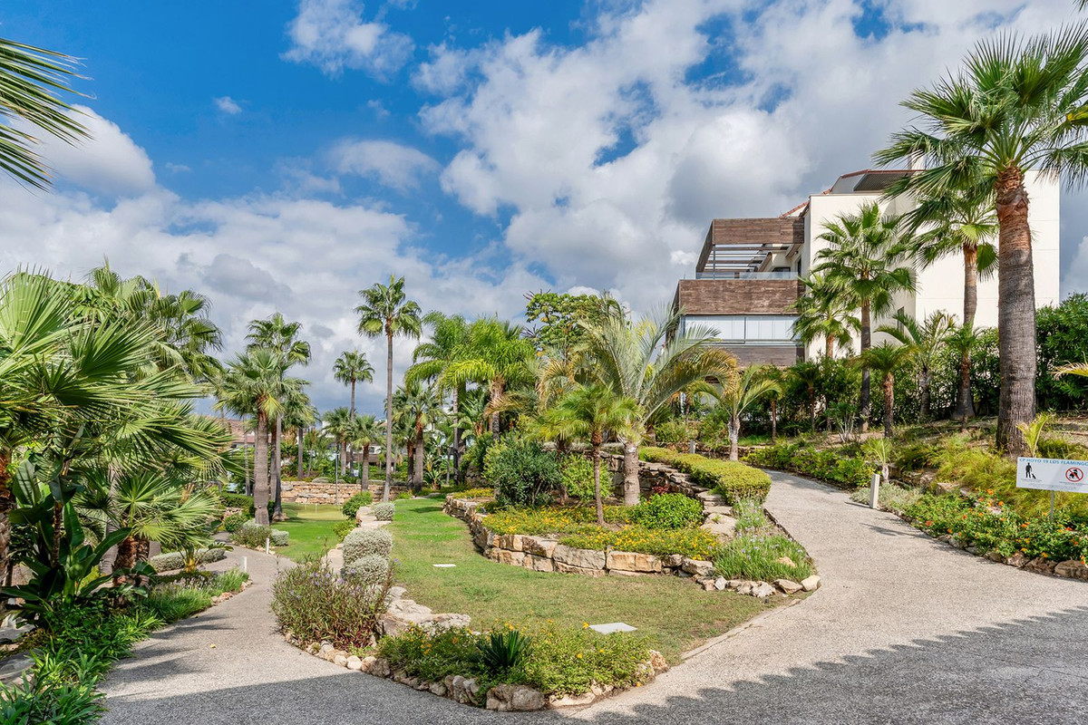 Property main view 38