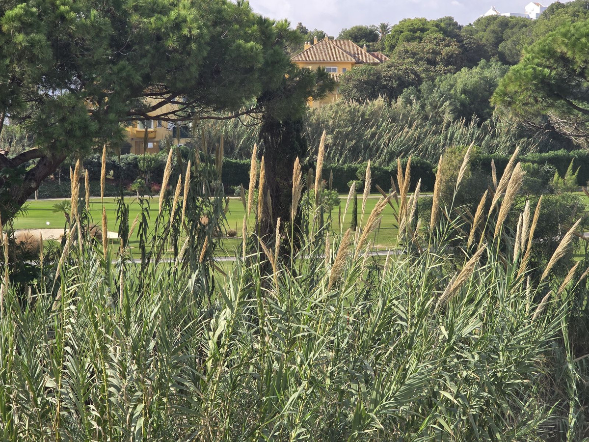 Property main view 11