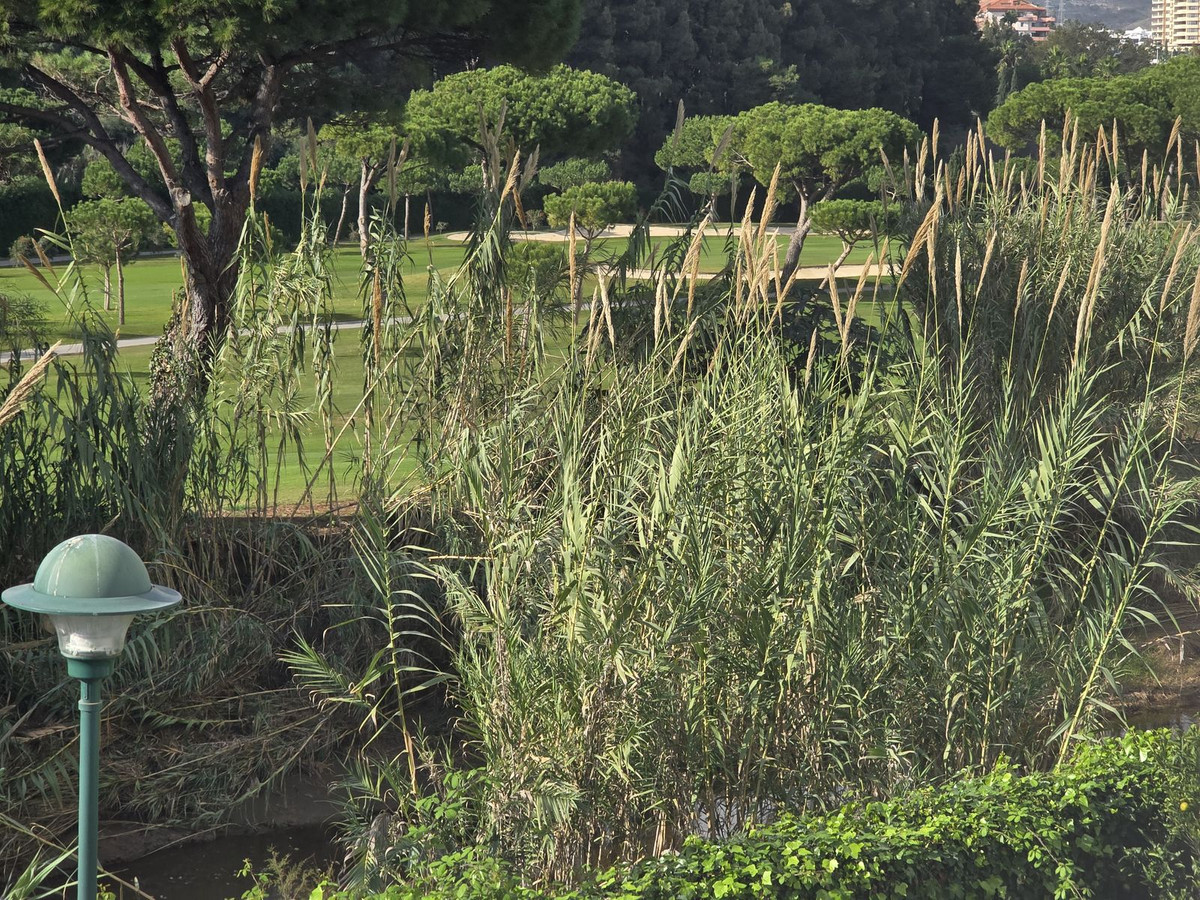 Property main view 12