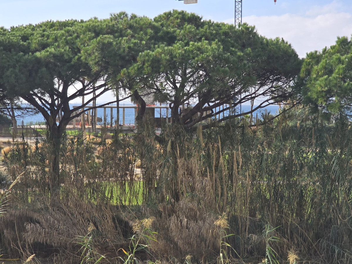 Property main view 2