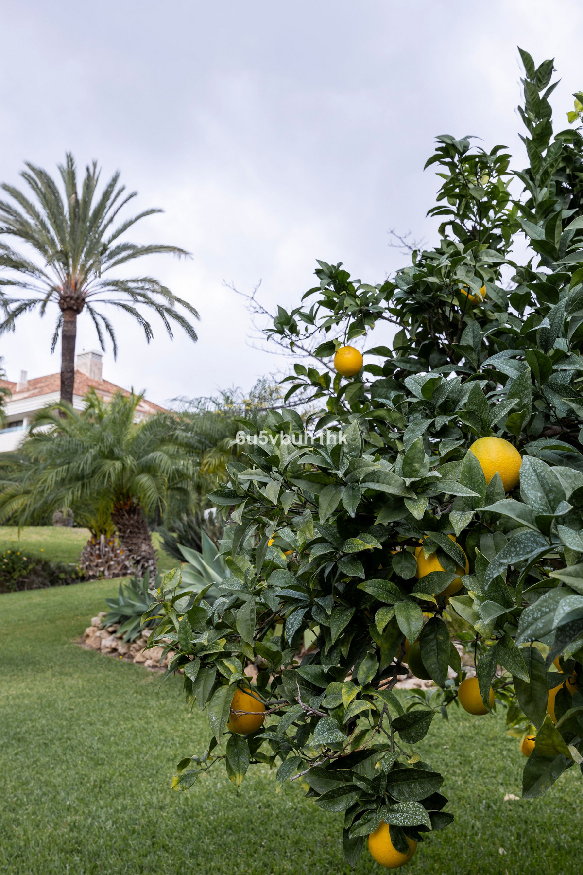 Penthouse te koop in Los Monteros | 3 slaapkamers H4884940