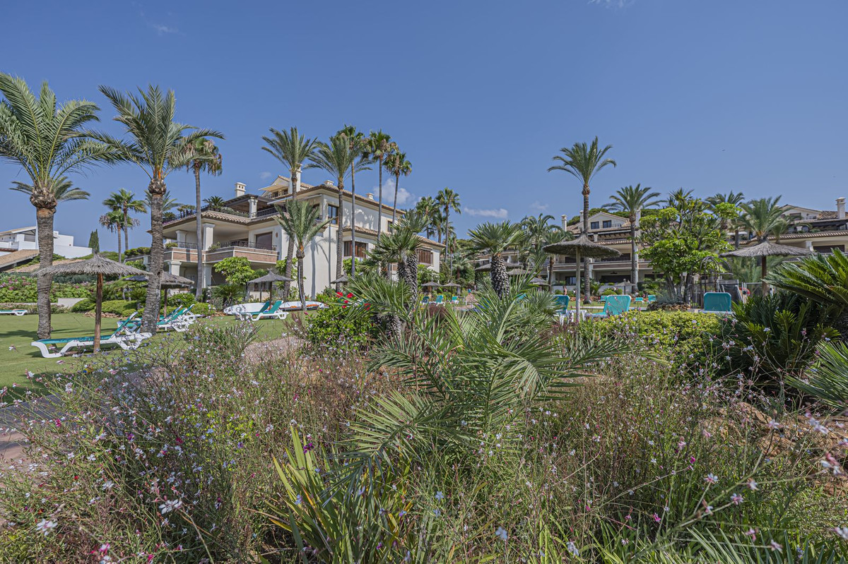 Property main view 50