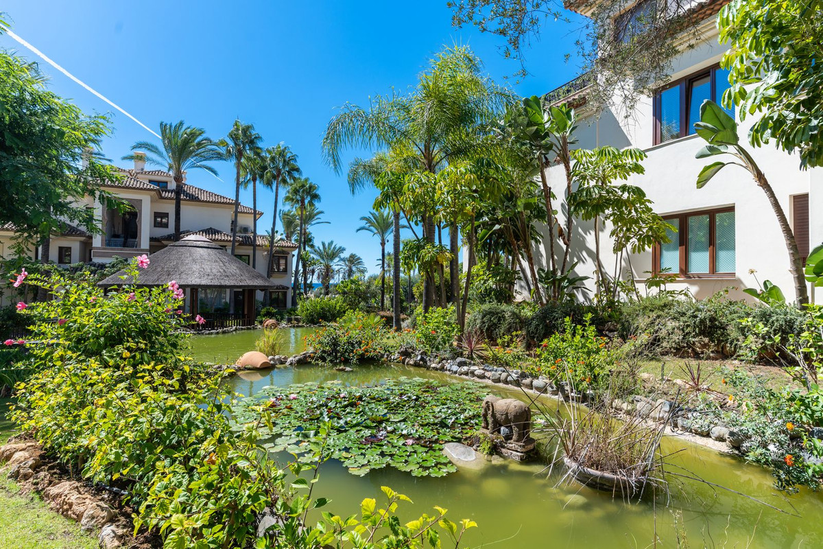 Property main view 39