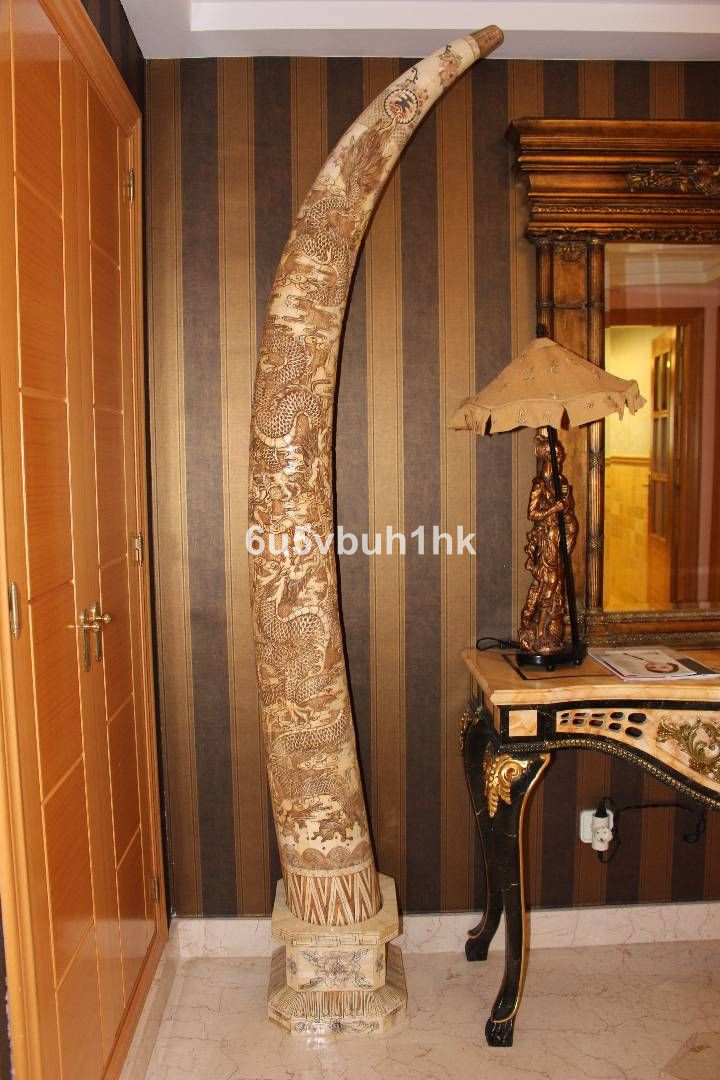 Property main view 15