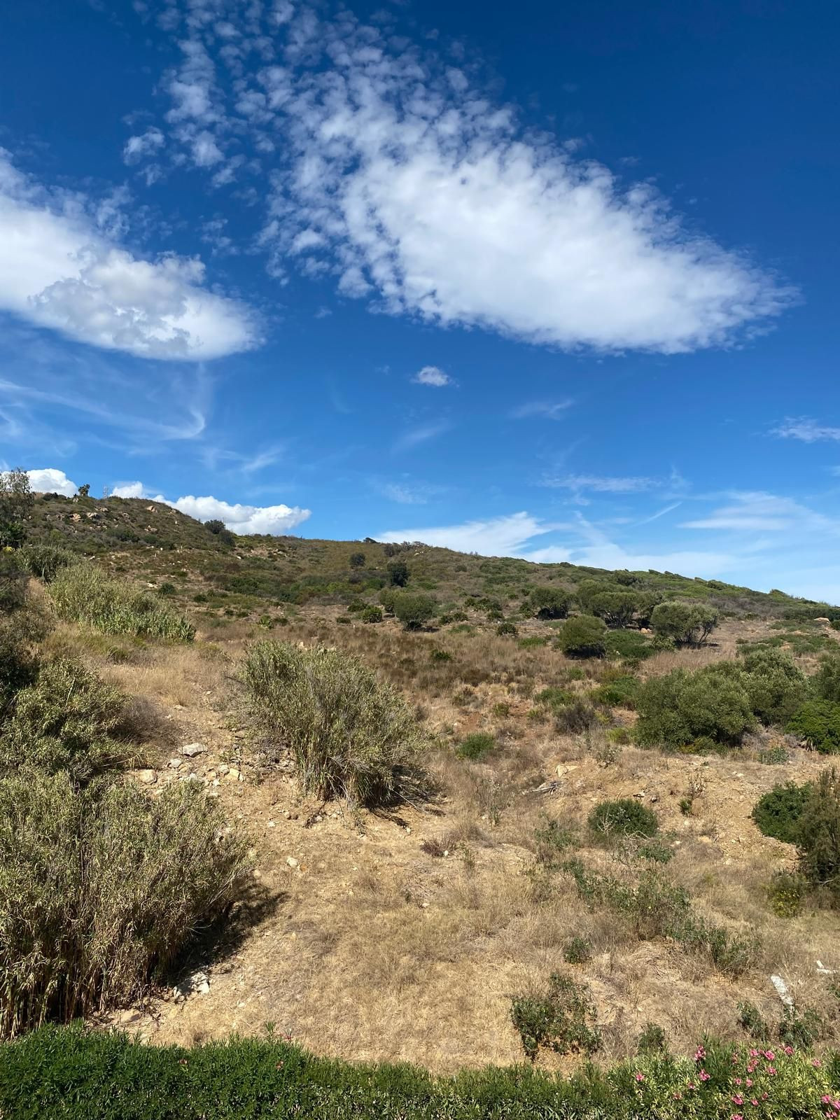 Property main view 18