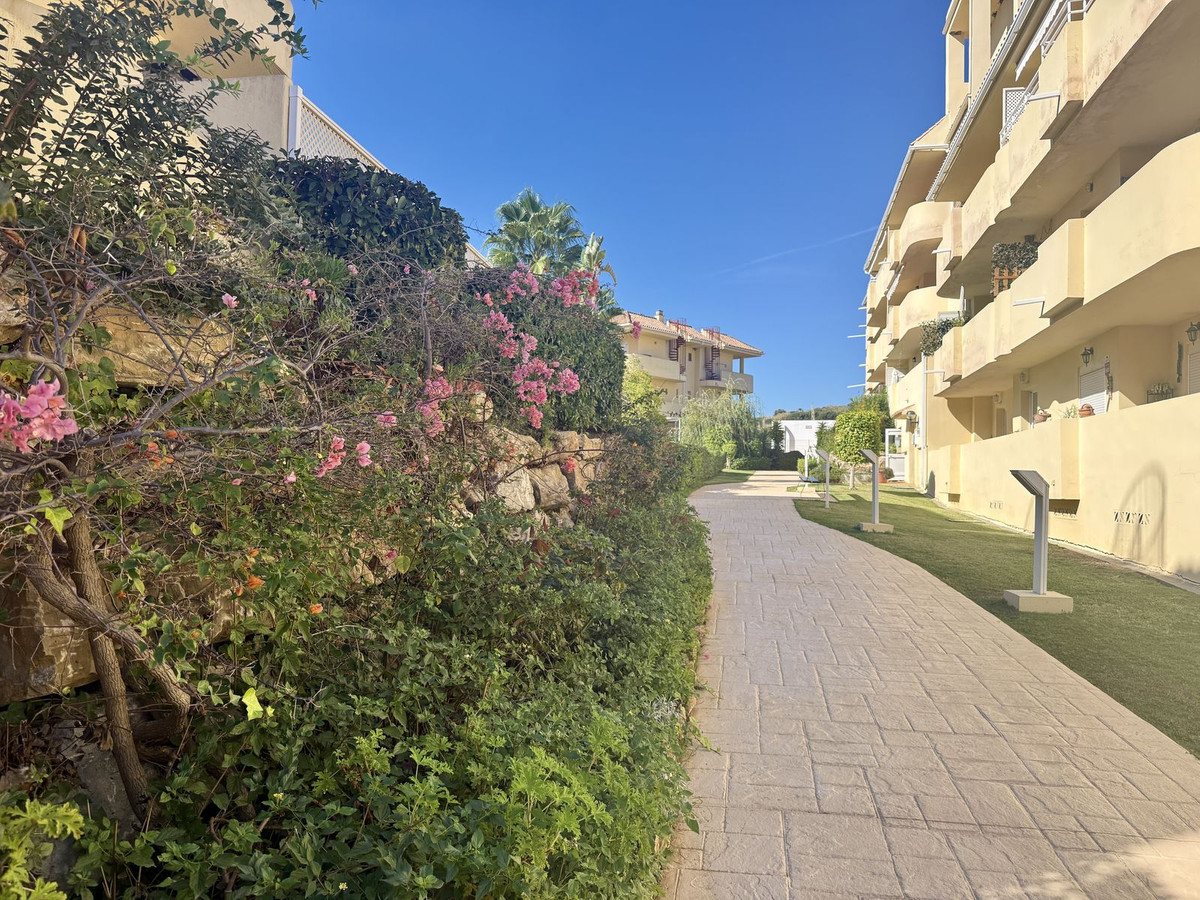 Property main view 17