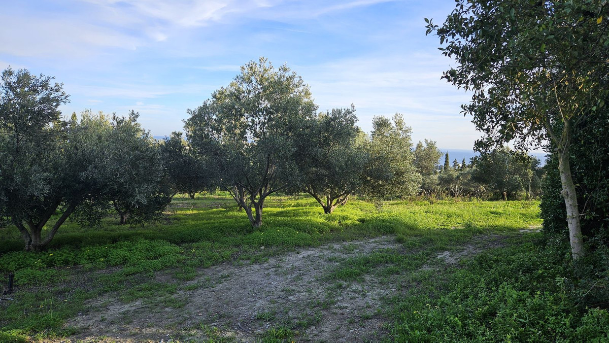 Property main view 19