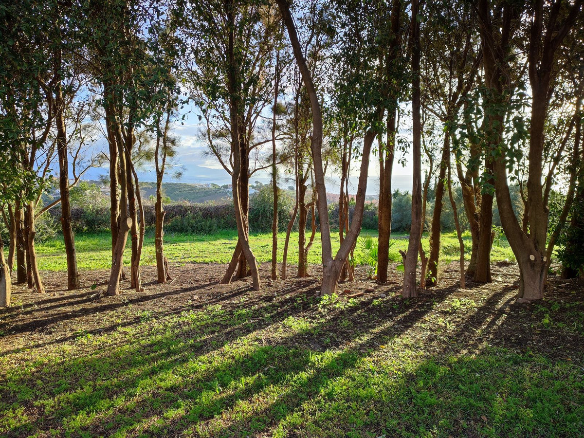 Property main view 25