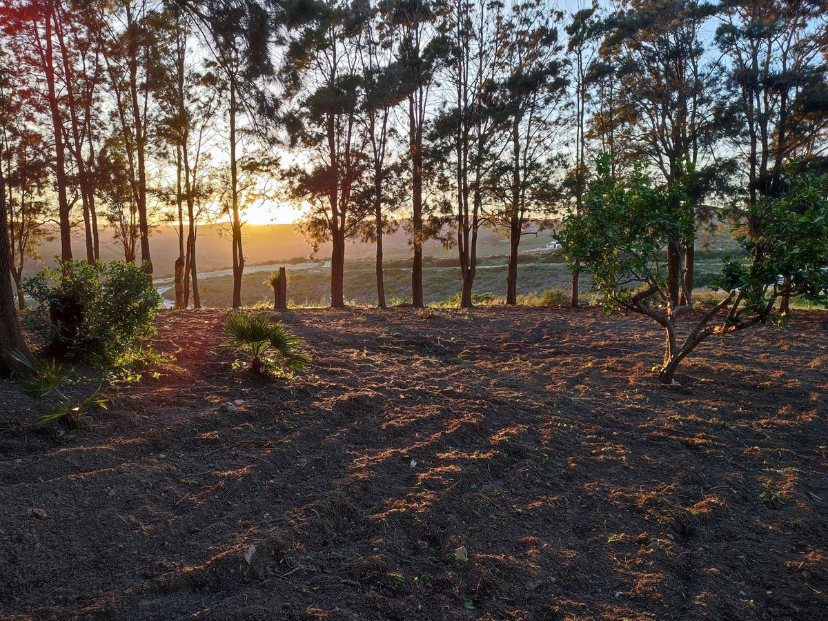 Property main view 29