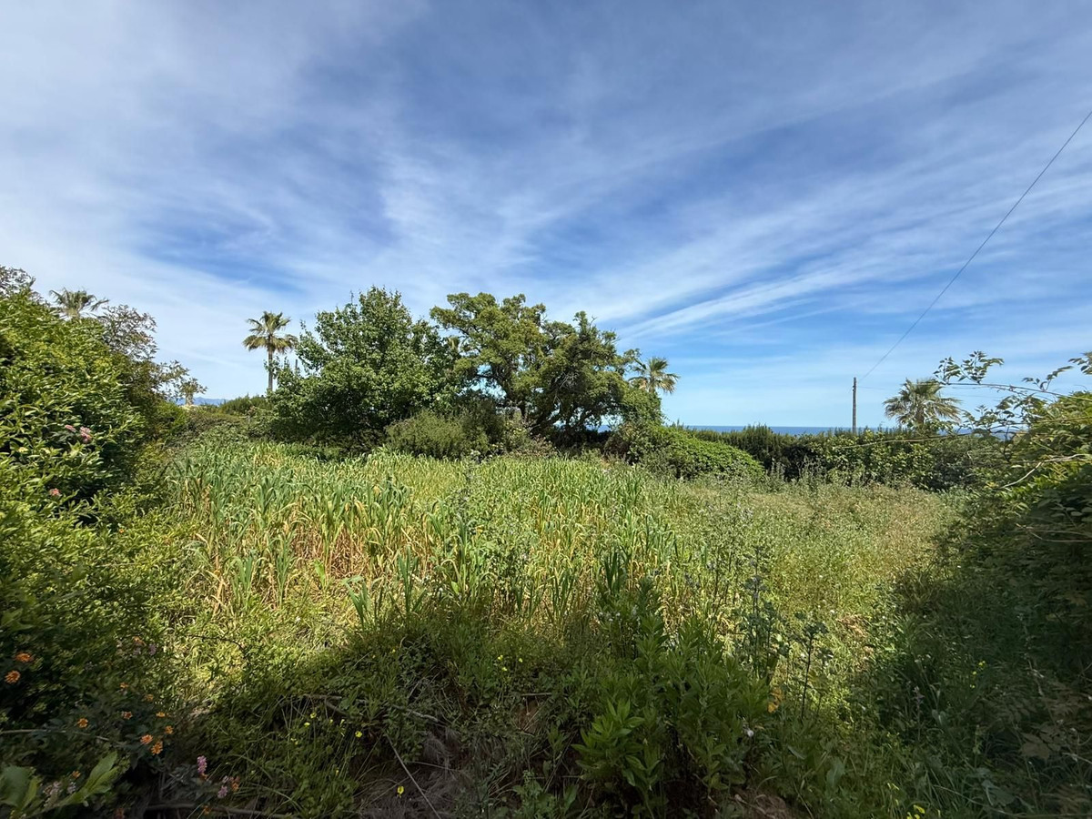 Property main view 30