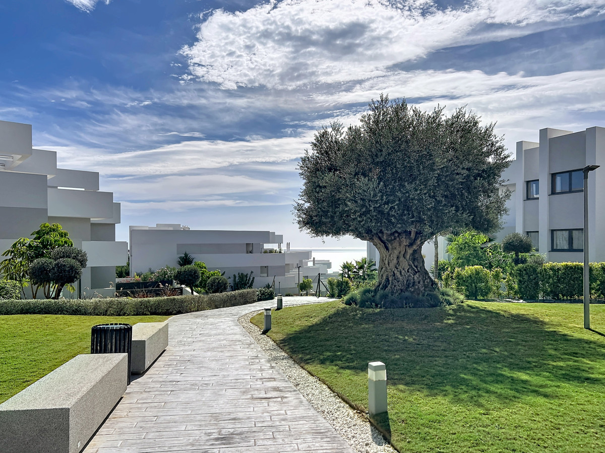 Property main view 46