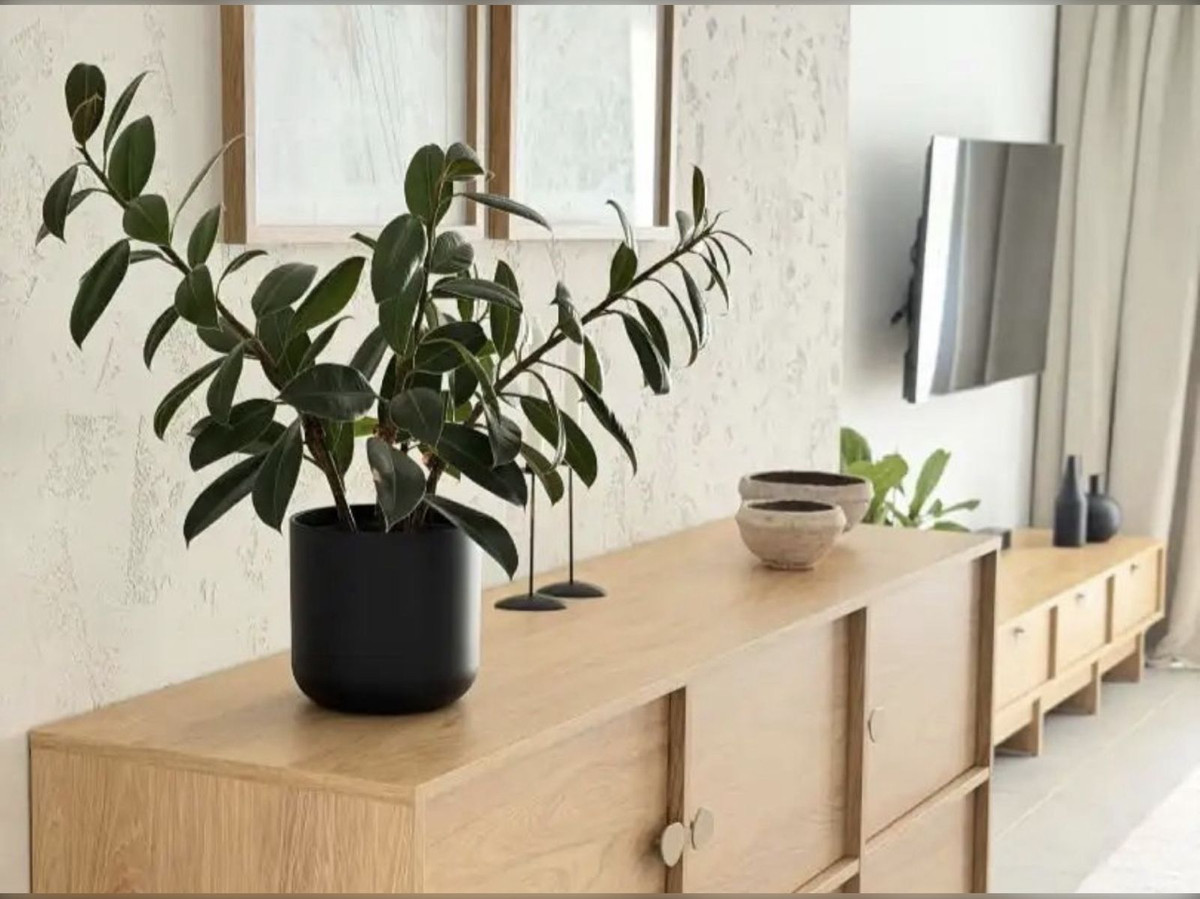 Property main view 5