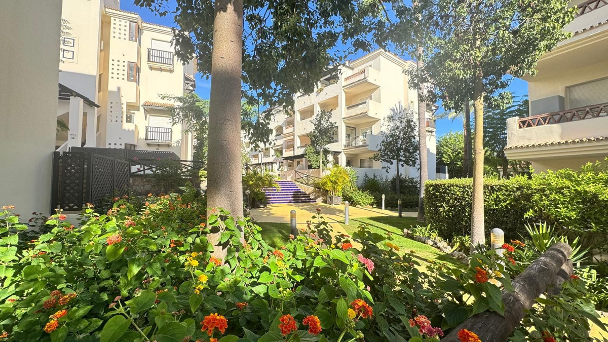 Property main view 19