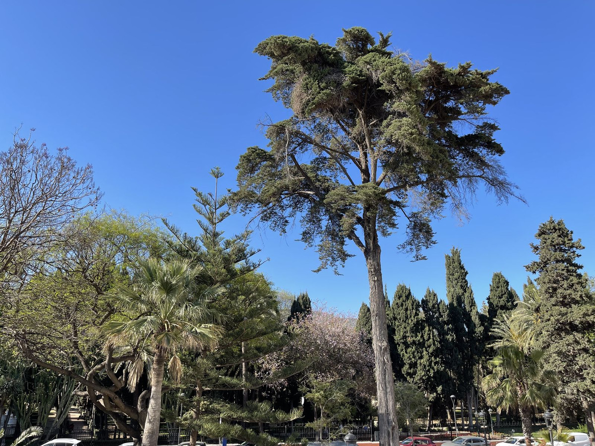 Property main view 20