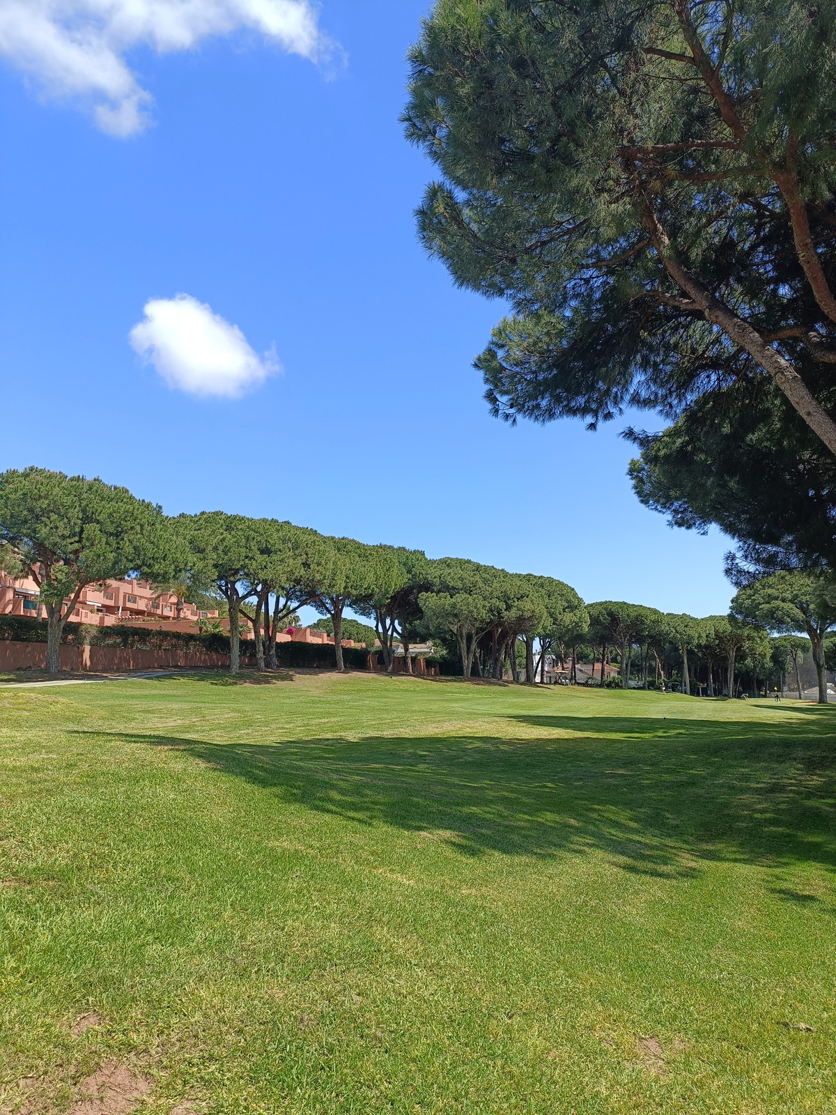 Property main view 20