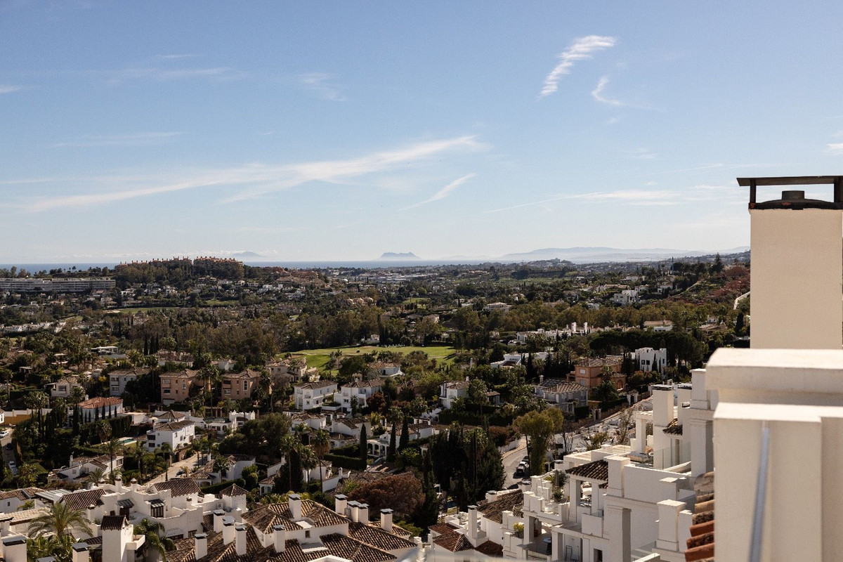 Property main view 39