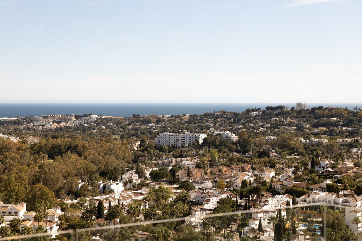 Property main view 41