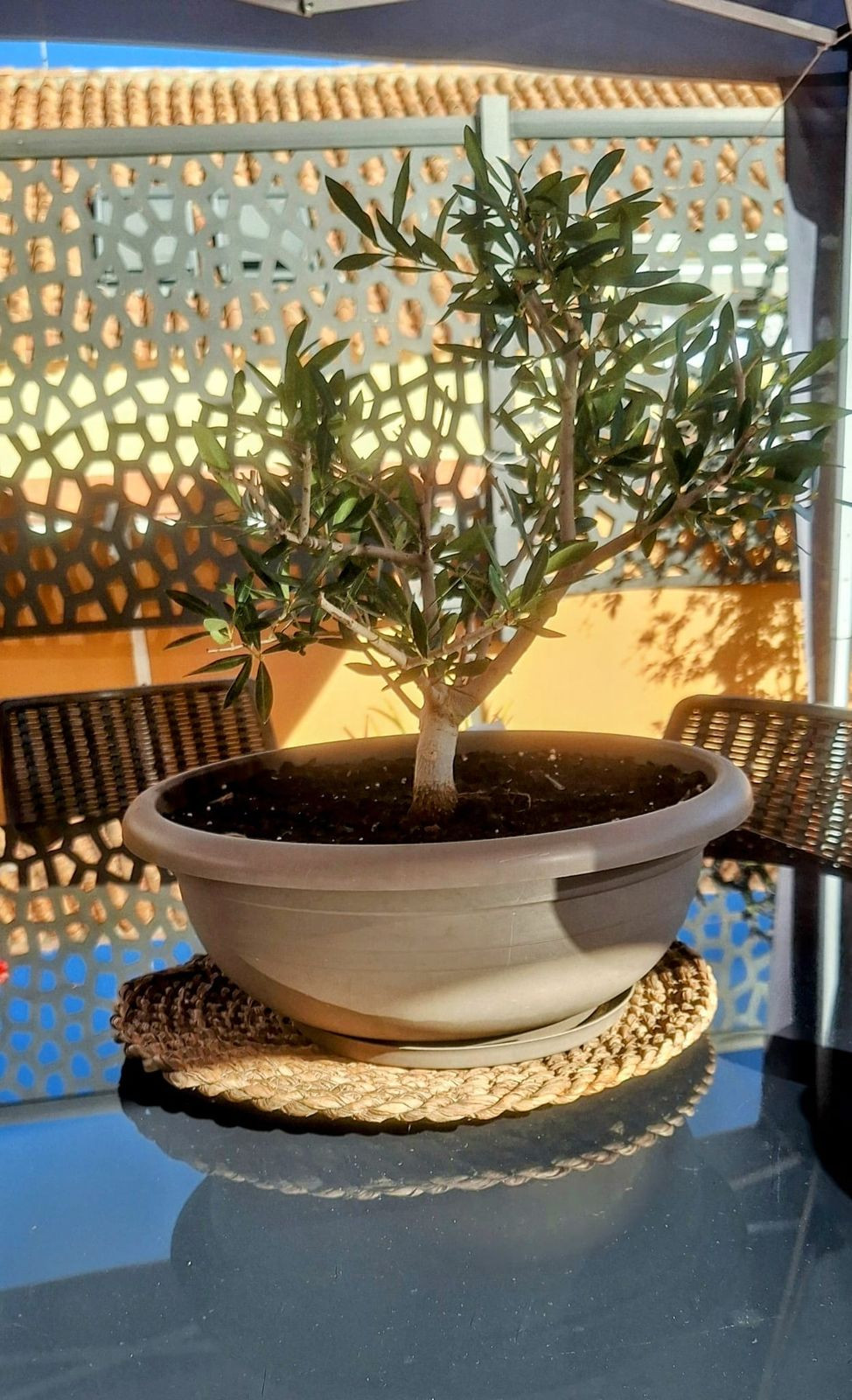 Property main view 38