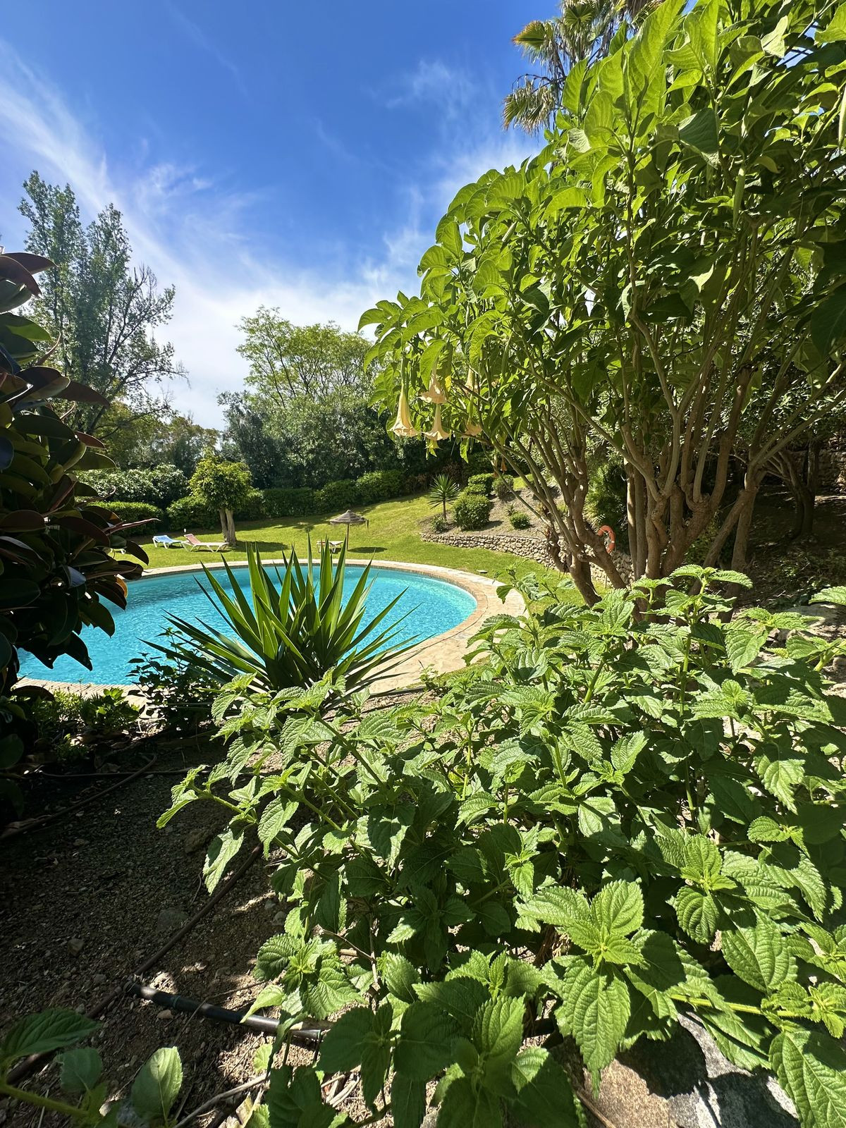 Penthouse te koop in Marbella | 3 slaapkamers H5085538