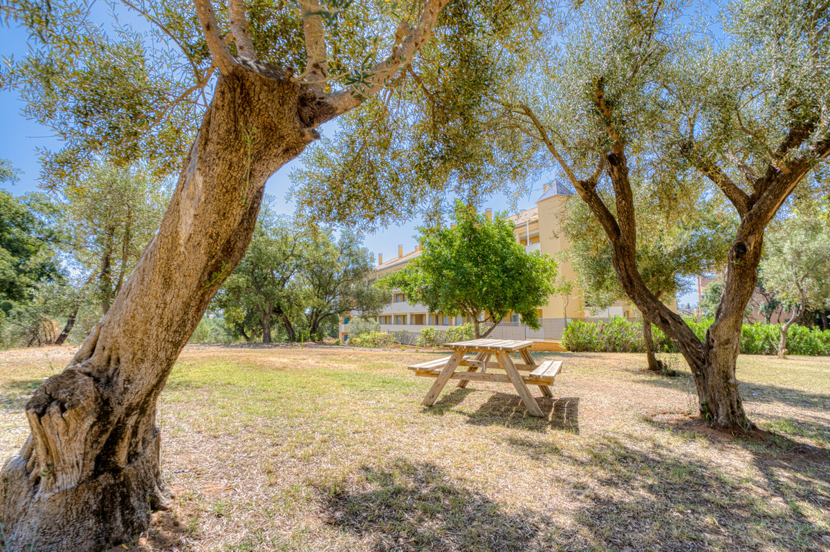 Property main view 19